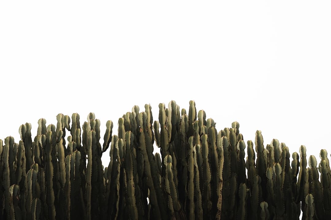 赵露思否定整容！自曝手机号遭走漏被整容医院打扰